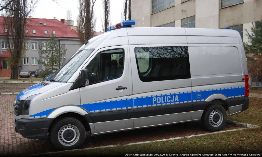 Kara dla kierującej Audi z dożywotnim zakazem prowadzenia pojazdów