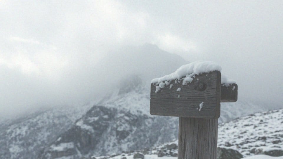 Wanda Rutkiewicz dzieci – Dlaczego zrezygnowała z macierzyństwa?